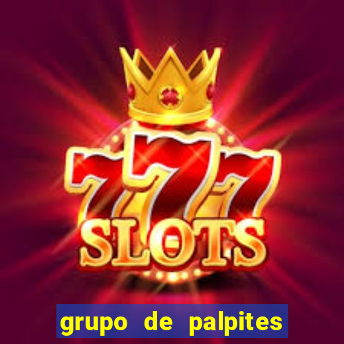 grupo de palpites de futebol telegram